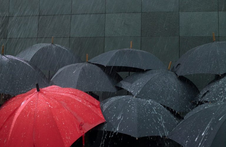 Roter Regenschirm zwischen schwarzen Schirmen – Symbol für individuellen Schutz